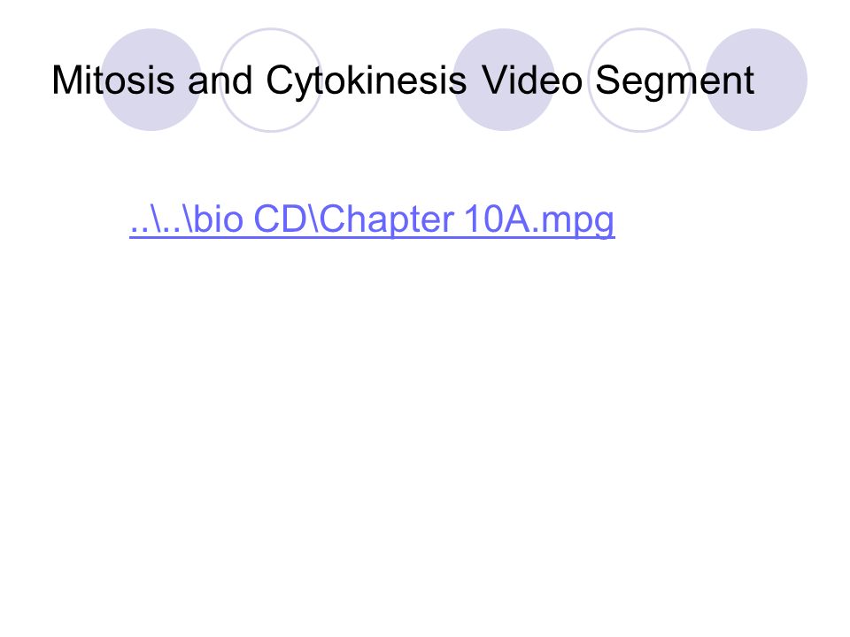 Mitosis and Cytokinesis Video Segment