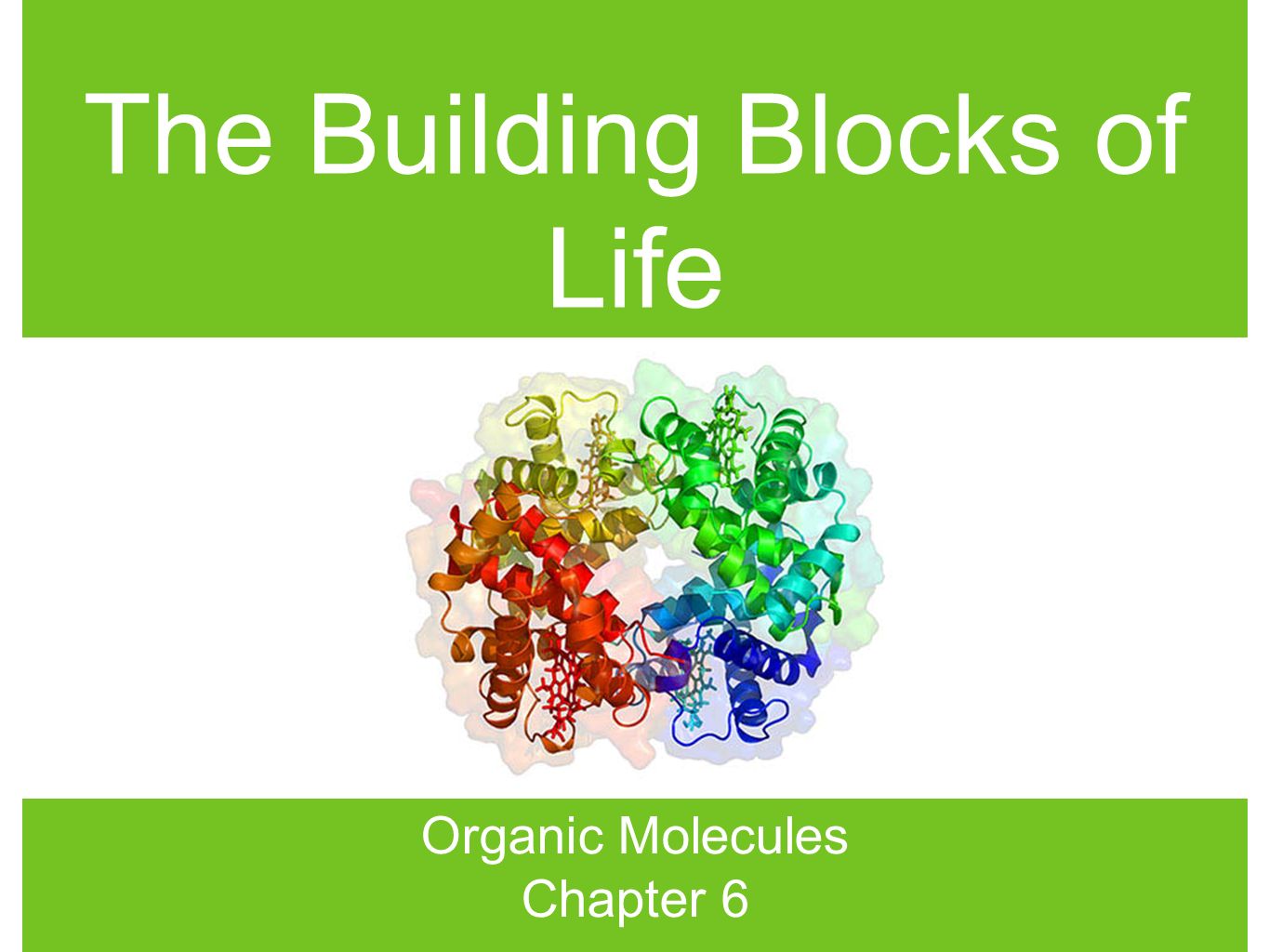 The Building Blocks of Life - ppt video online download