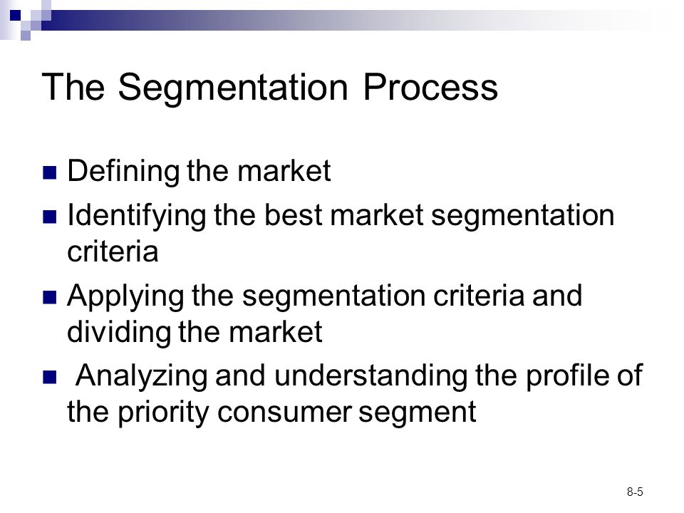 The Segmentation Process