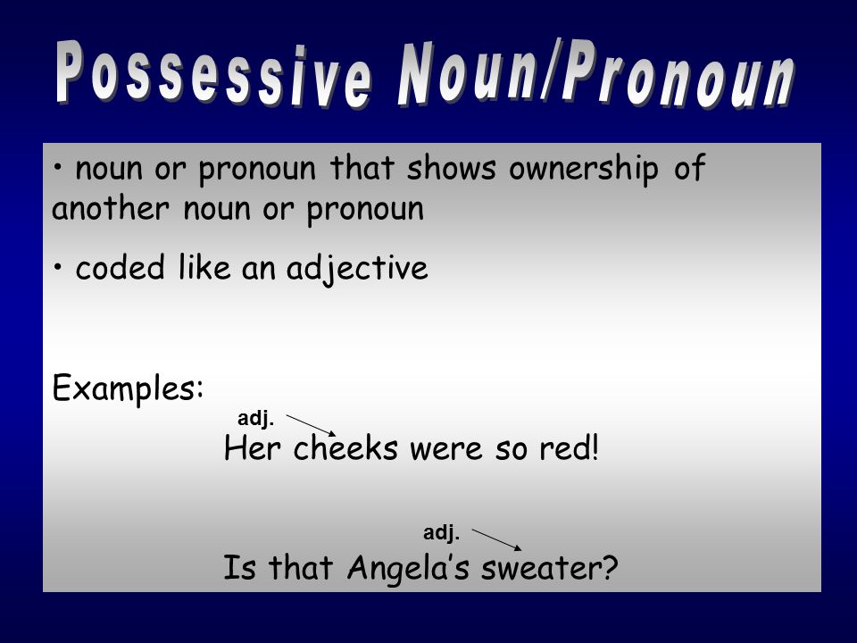 Possessive Noun/Pronoun