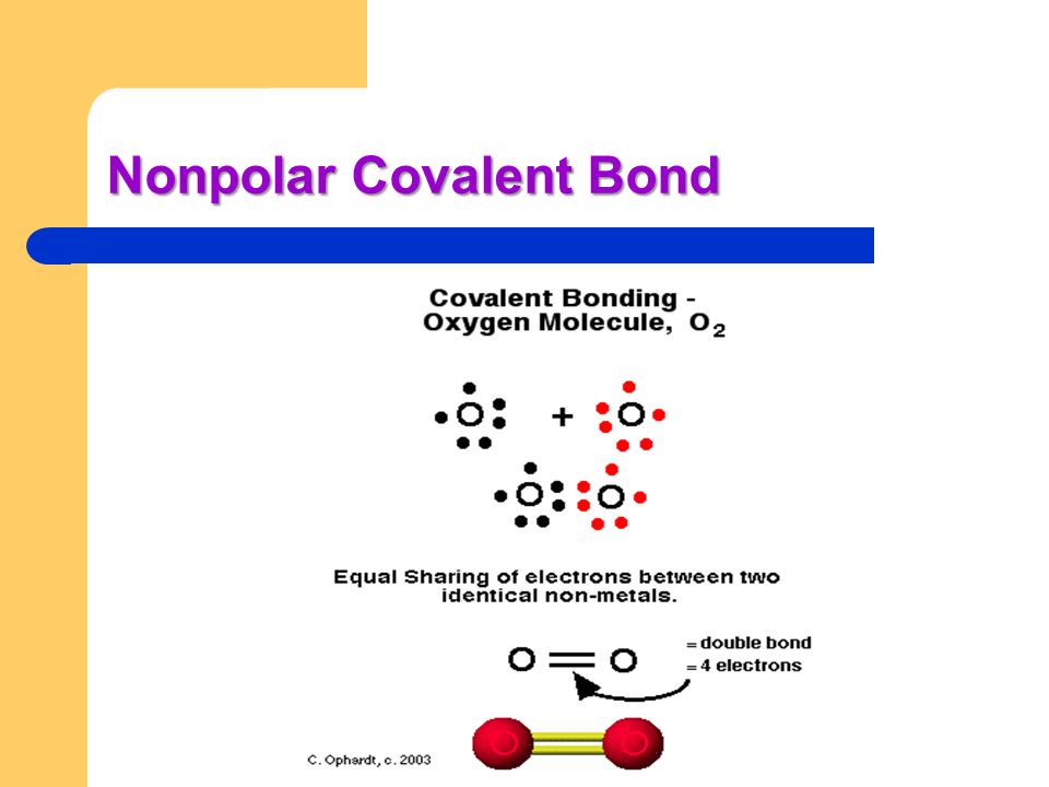 Nonpolar Covalent Bond