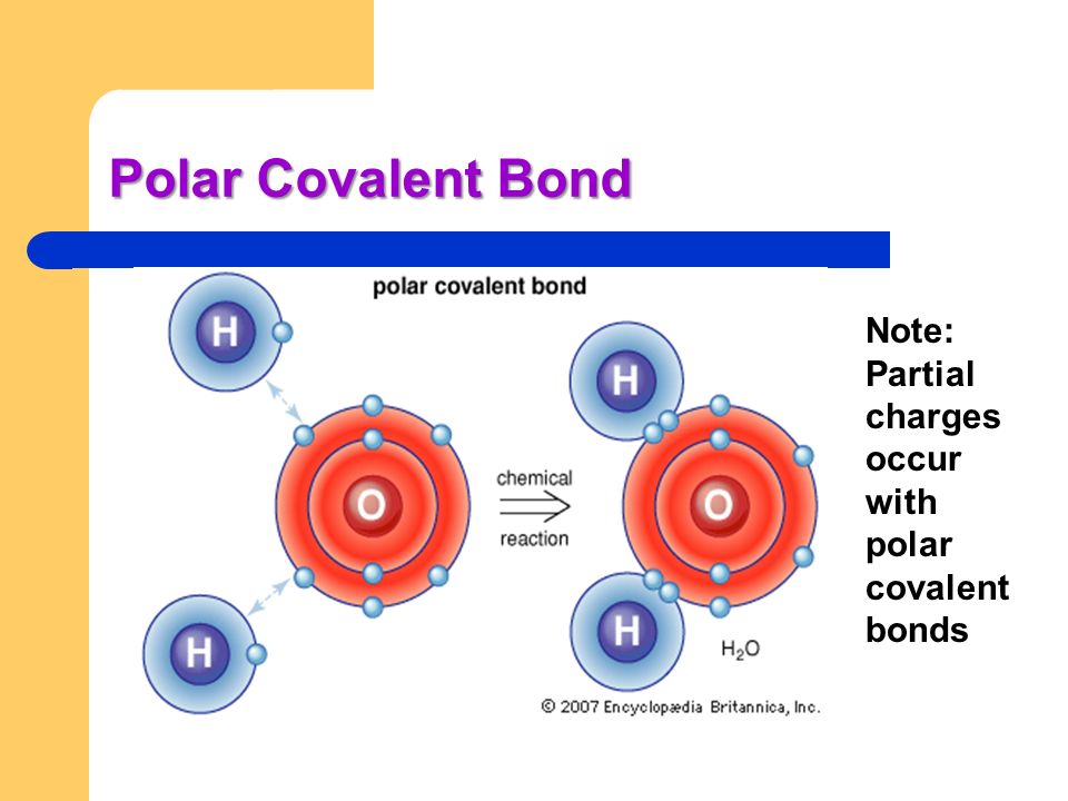 Polar Covalent Bond Note: Partial charges occur with polar covalent bonds