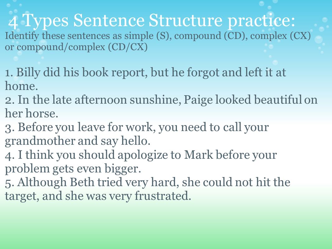 4 Types Sentence Structure practice: