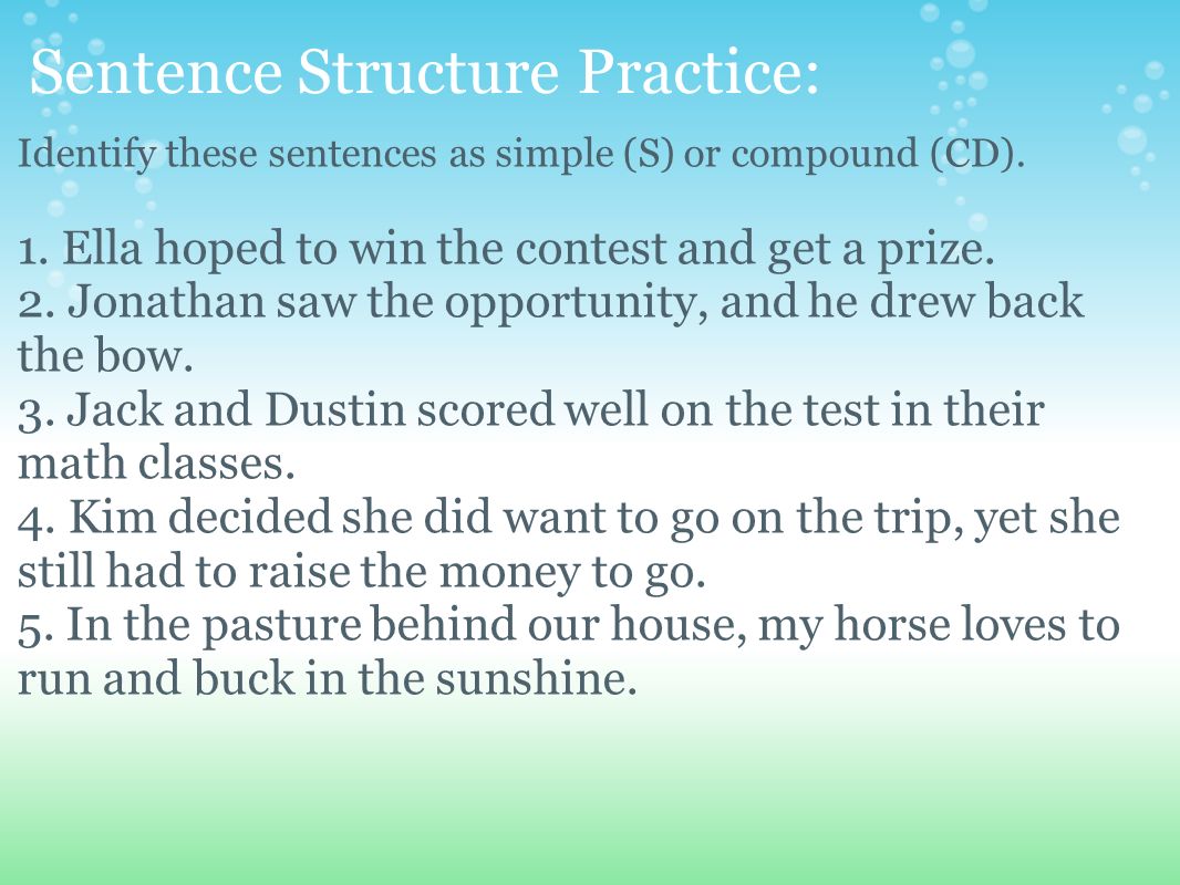 Sentence Structure Practice: