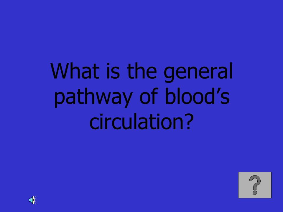 What is the general pathway of blood’s circulation