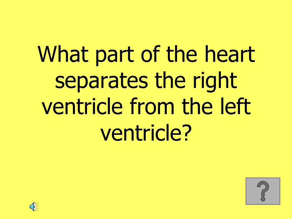 What part of the heart separates the right ventricle from the left ventricle