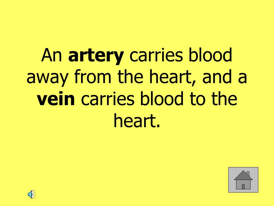 An artery carries blood away from the heart, and a vein carries blood to the heart.