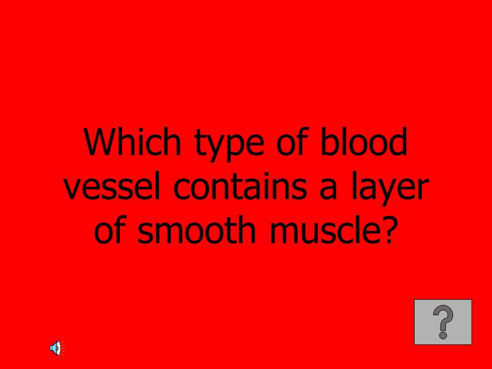 Which type of blood vessel contains a layer of smooth muscle