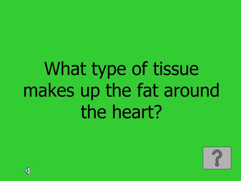 What type of tissue makes up the fat around the heart