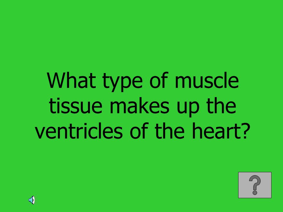 What type of muscle tissue makes up the ventricles of the heart