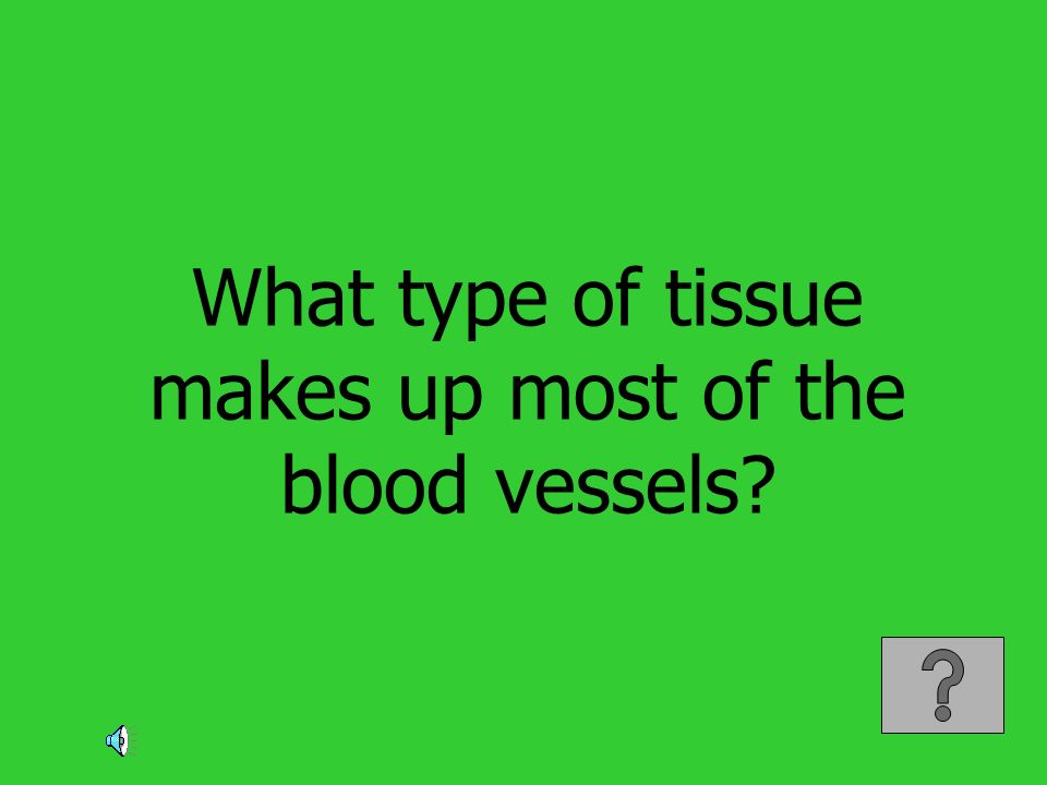 What type of tissue makes up most of the blood vessels
