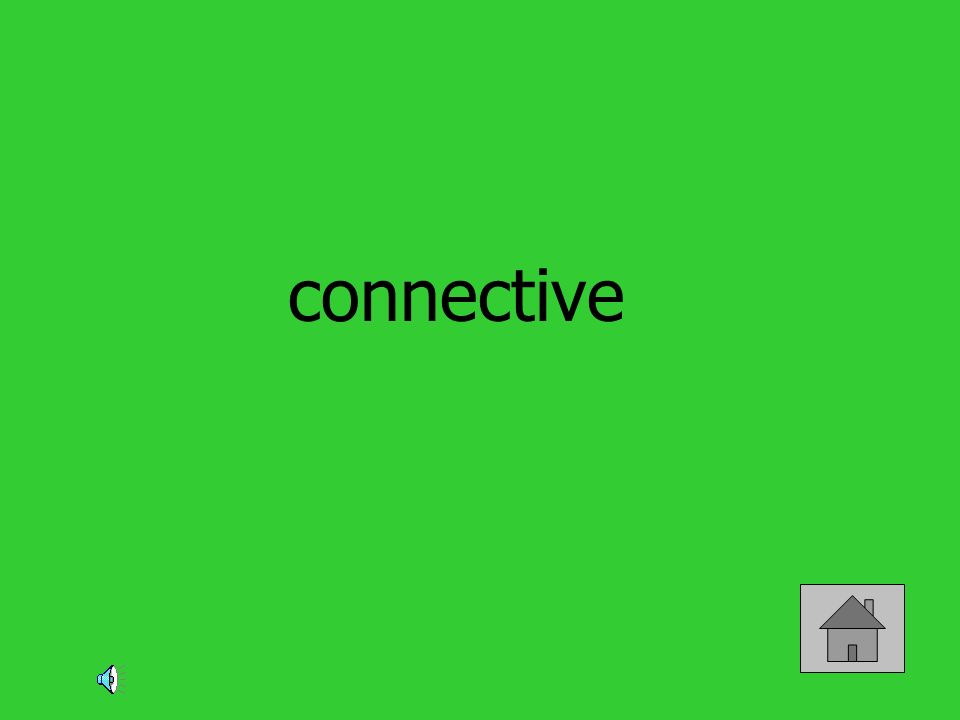 connective