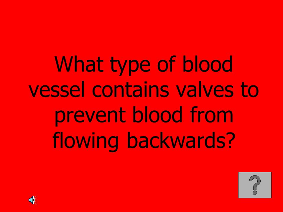 What type of blood vessel contains valves to prevent blood from flowing backwards