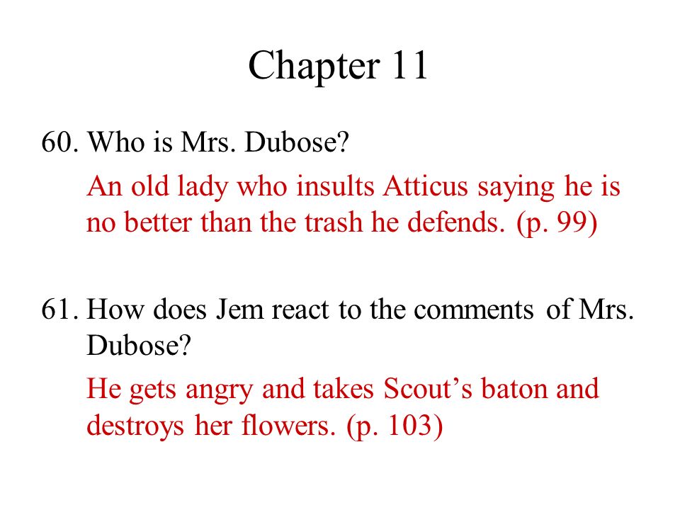 Chapter Who is Mrs. Dubose