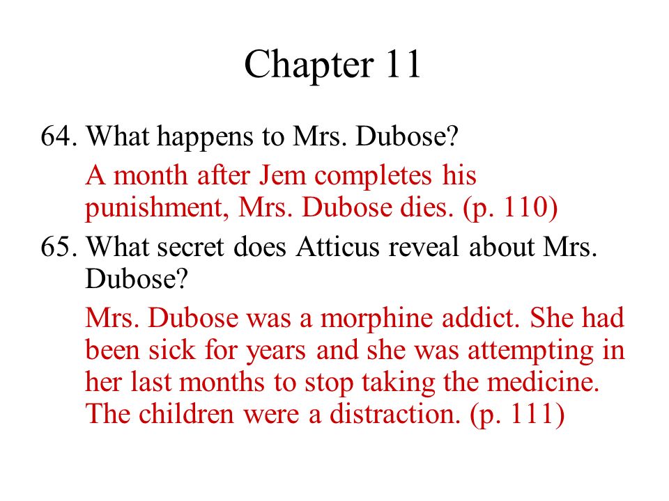 Chapter What happens to Mrs. Dubose