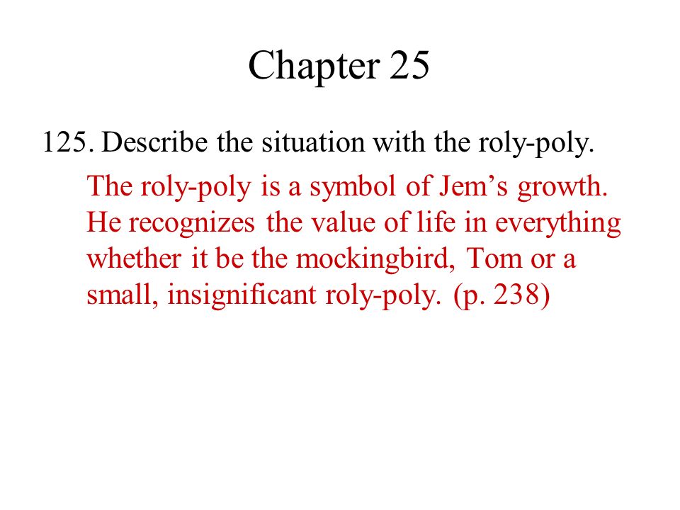 Chapter Describe the situation with the roly-poly.