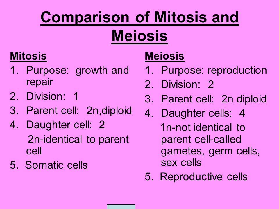 Mitosis And Meiosis Difference Chart