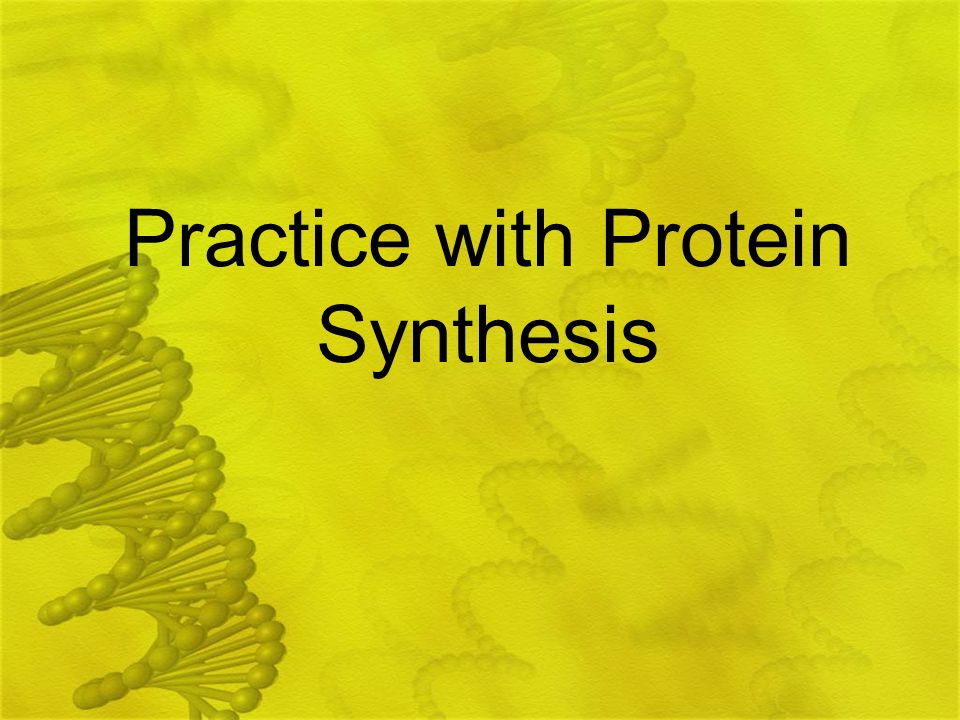 Practice with Protein Synthesis