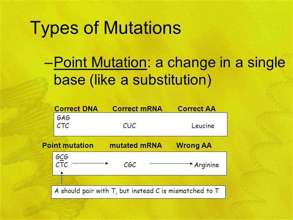 Types of Mutations Point Mutation: a change in a single base (like a substitution) GAG.