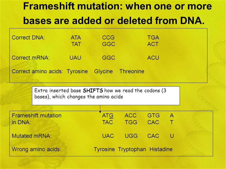Frameshift mutation: when one or more bases are added or deleted from DNA.