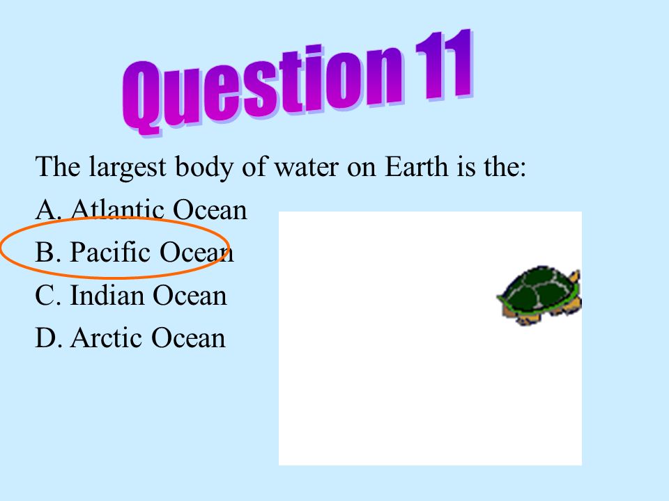 Question 11 The largest body of water on Earth is the:
