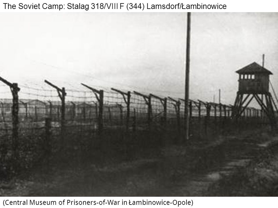 The Soviet Camp: Stalag 318/VIII F (344) Lamsdorf/Łambinowice