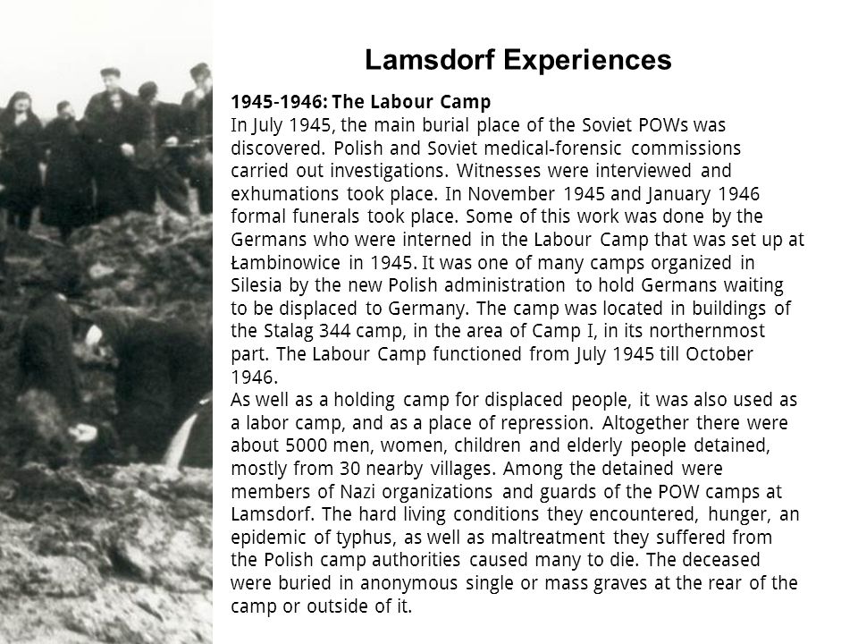 Lamsdorf Experiences