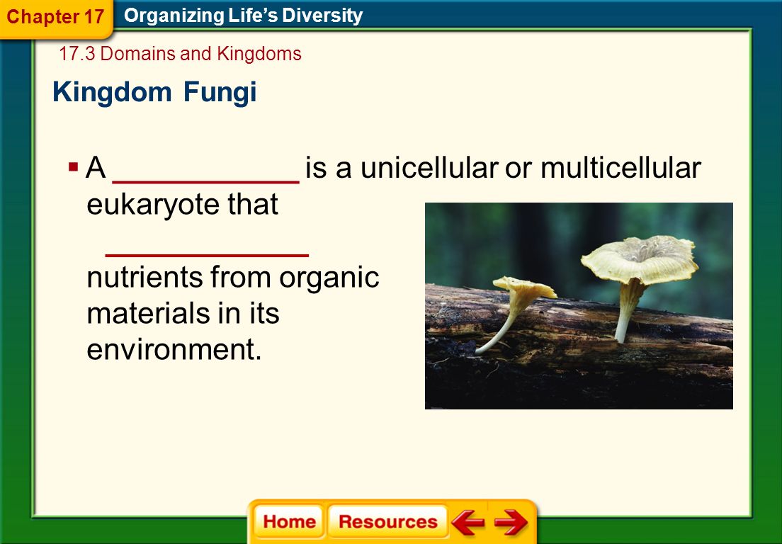 A ___________ is a unicellular or multicellular