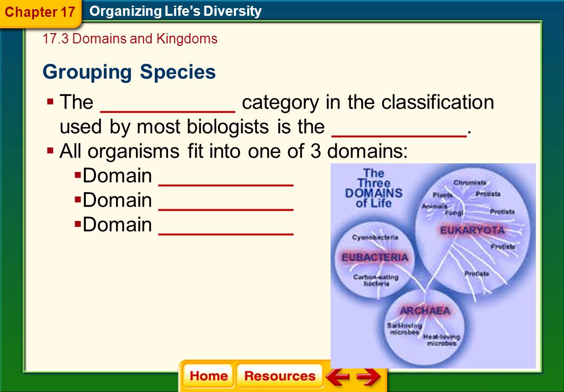 All organisms fit into one of 3 domains: Domain ____________