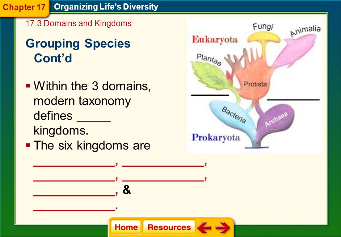 Grouping Species Cont’d