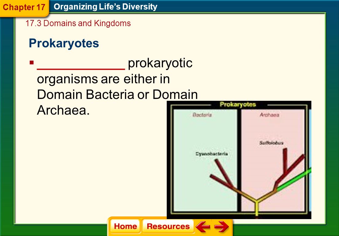 Chapter 17 Organizing Life’s Diversity Domains and Kingdoms. Prokaryotes.