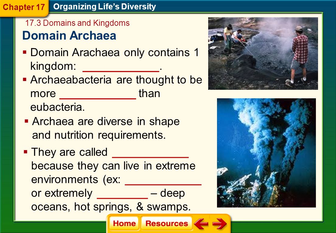 Domain Archaea Domain Arachaea only contains 1 kingdom: ____________.