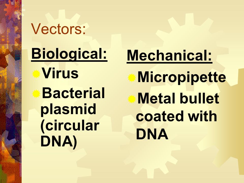 Vectors: Biological: Virus. Bacterial plasmid (circular DNA) Mechanical: Micropipette.