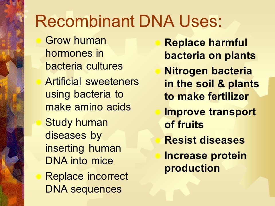 Recombinant DNA Uses: Grow human hormones in bacteria cultures