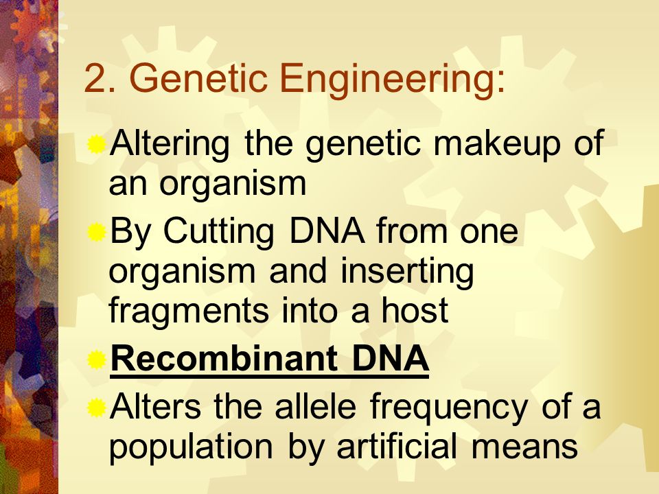 2. Genetic Engineering: Altering the genetic makeup of an organism