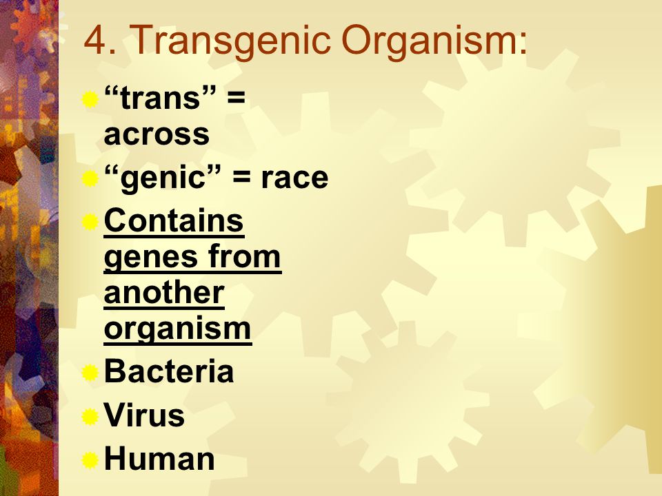 4. Transgenic Organism: trans = across genic = race