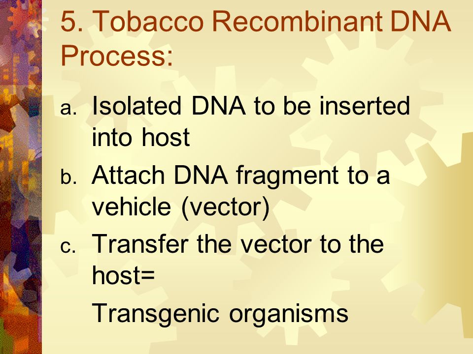 5. Tobacco Recombinant DNA Process: