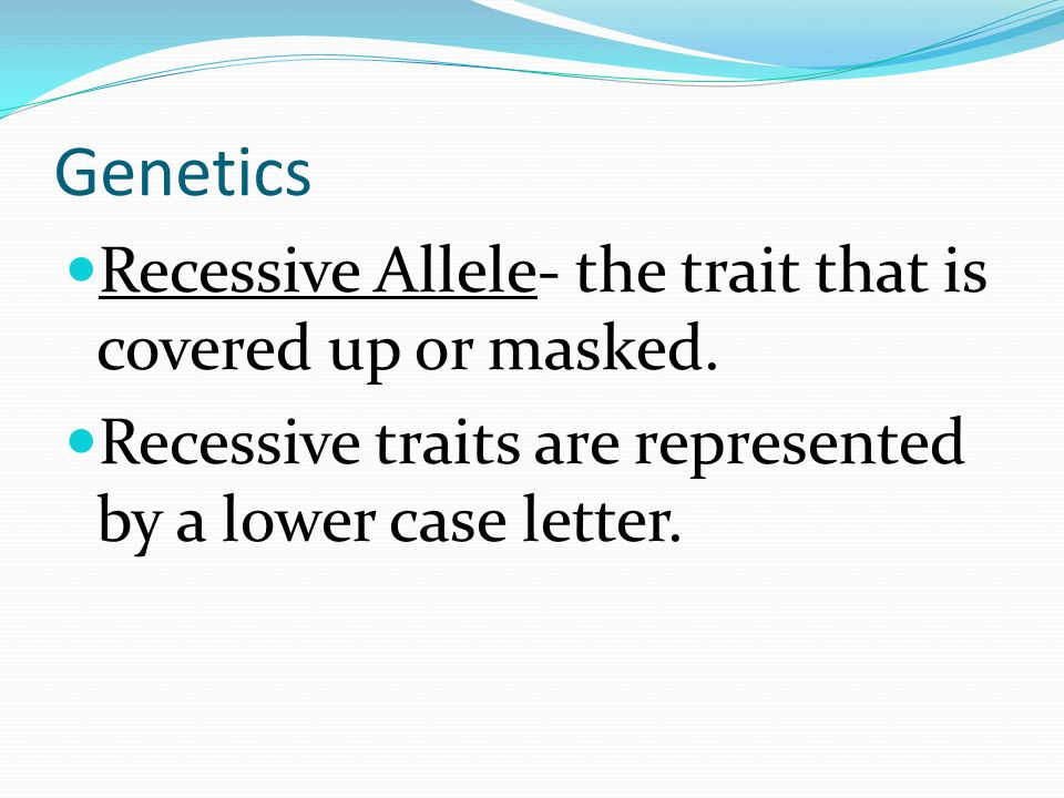 Genetics Recessive Allele- the trait that is covered up or masked.