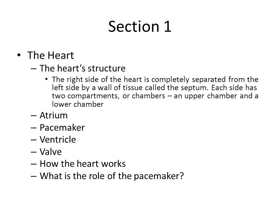 Section 1 The Heart The heart’s structure Atrium Pacemaker Ventricle