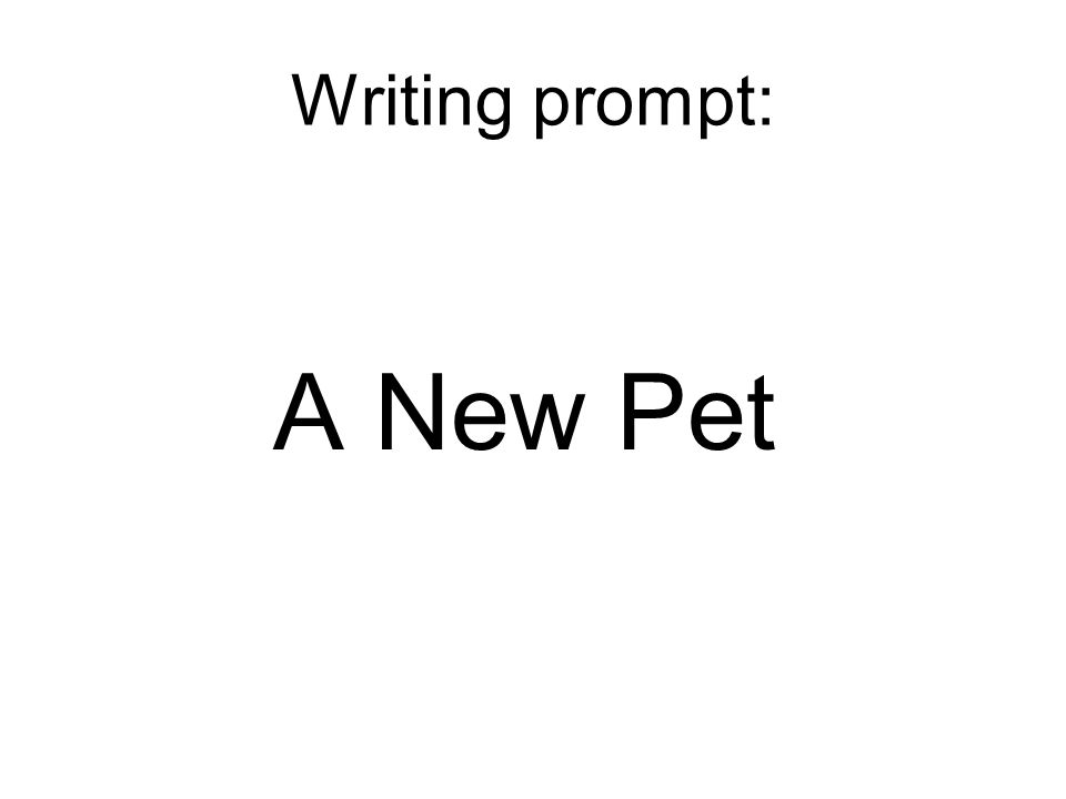 Writing prompt: A New Pet