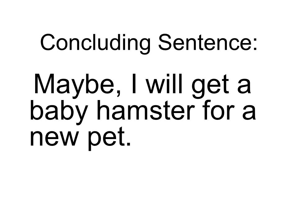Maybe, I will get a baby hamster for a new pet.