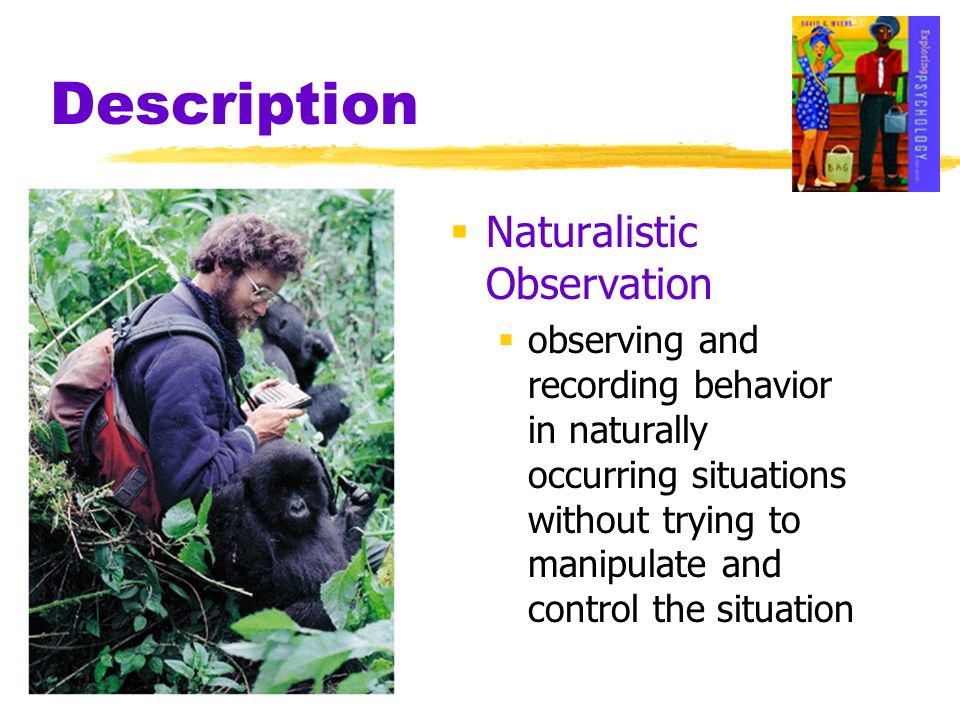 Description Naturalistic Observation