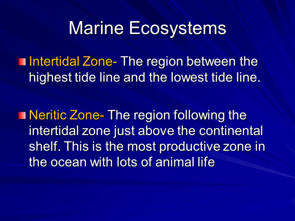 Marine Ecosystems Intertidal Zone- The region between the highest tide line and the lowest tide line.