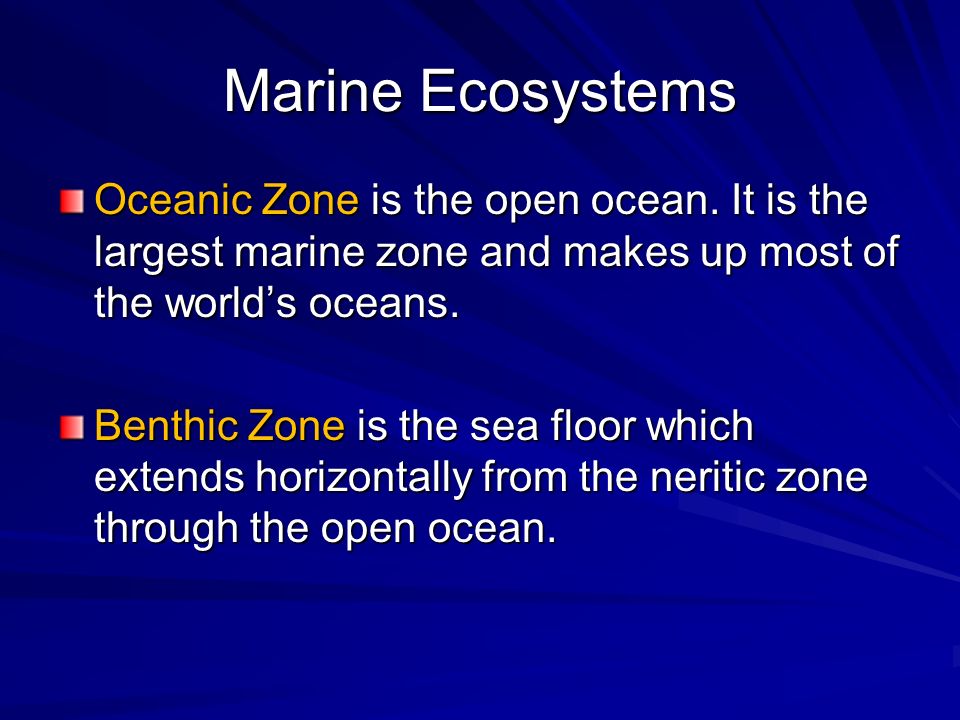 Marine Ecosystems Oceanic Zone is the open ocean. It is the largest marine zone and makes up most of the world’s oceans.