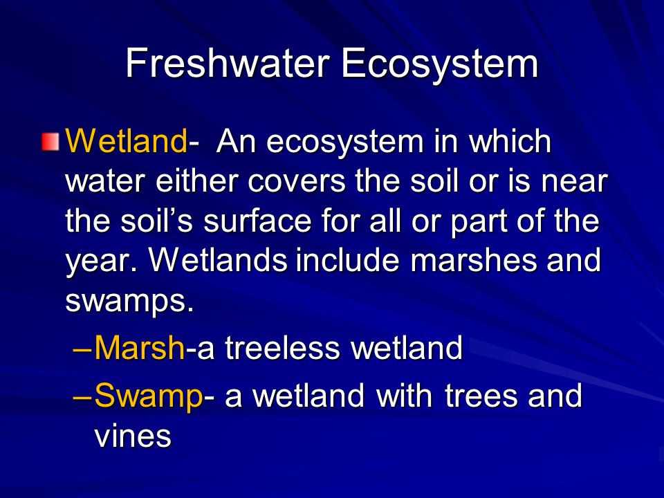 Freshwater Ecosystem