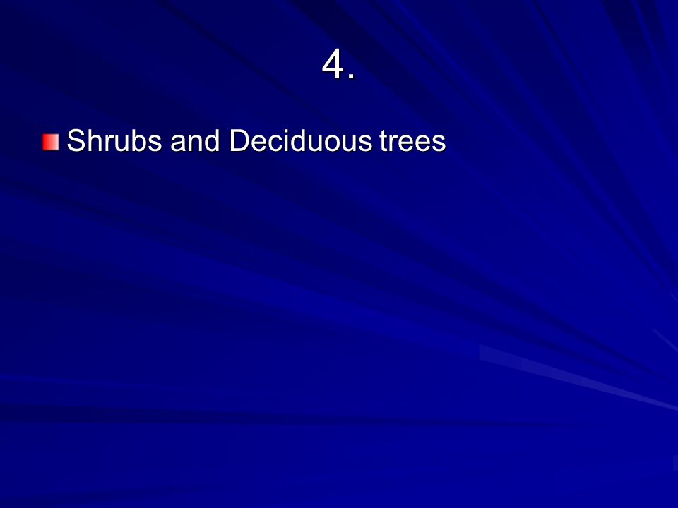 4. Shrubs and Deciduous trees