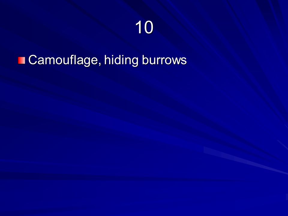 10 Camouflage, hiding burrows
