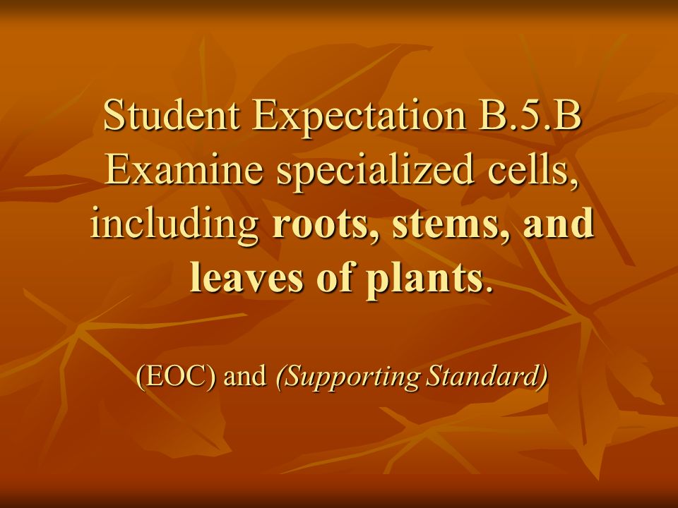 Student Expectation B.5.B Examine specialized cells, including roots, stems, and leaves of plants.