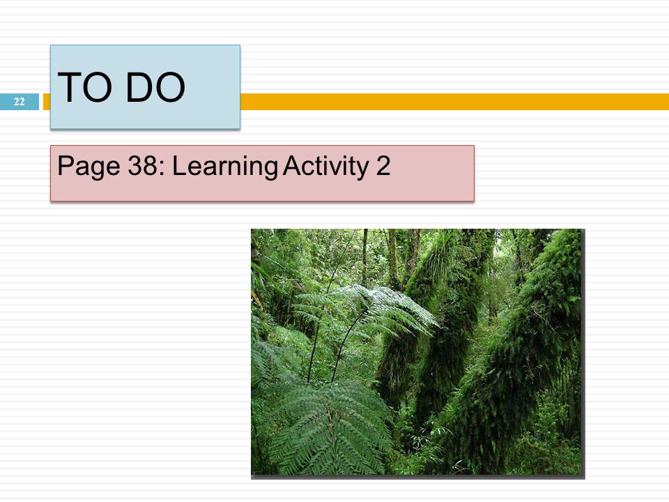 TO DO Page 38: Learning Activity 2