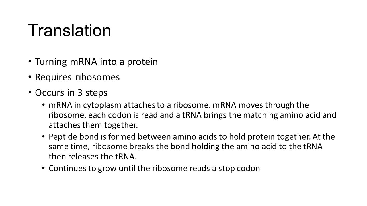 Translation Turning mRNA into a protein Requires ribosomes